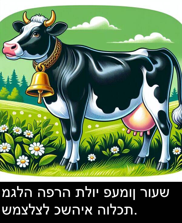 מגלה: מגלה הפרה תלוי פעמון רועש שמצלצל כשהיא הולכת.