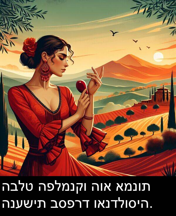 ואנדלוסיה: הבלט הפלמנקו הוא אמנות הנעשית בספרד ואנדלוסיה.