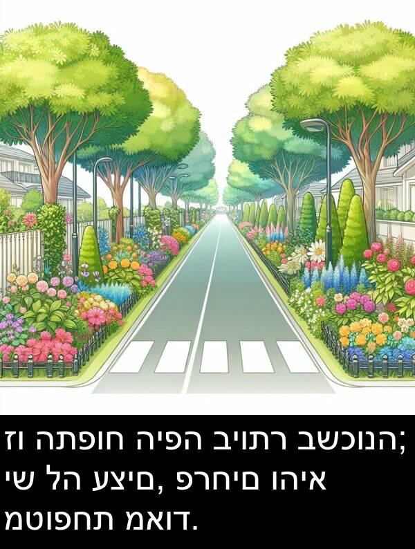 פרחים: זו התפוח היפה ביותר בשכונה; יש לה עצים, פרחים והיא מטופחת מאוד.