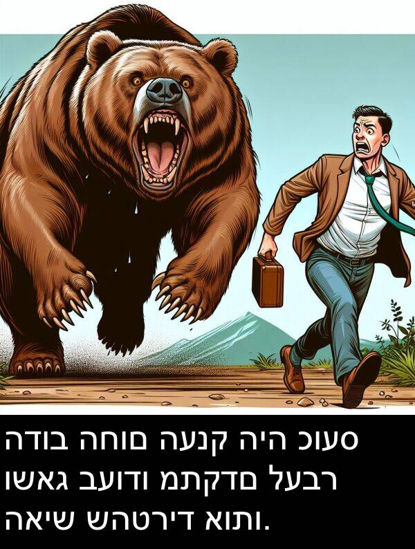 האיש: הדוב החום הענק היה כועס ושאג בעודו מתקדם לעבר האיש שהטריד אותו.