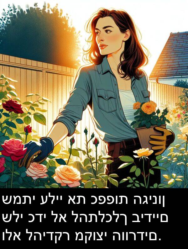 להידקר: שמתי עליי את כפפות הגינון שלי כדי לא להתלכלך בידיים ולא להידקר מקוצי הוורדים.