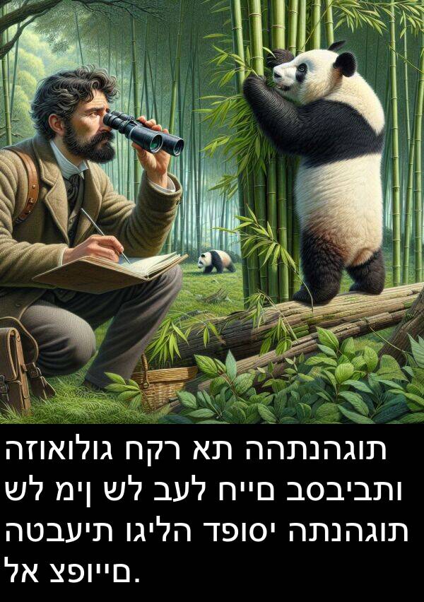 וגילה: הזואולוג חקר את ההתנהגות של מין של בעל חיים בסביבתו הטבעית וגילה דפוסי התנהגות לא צפויים.