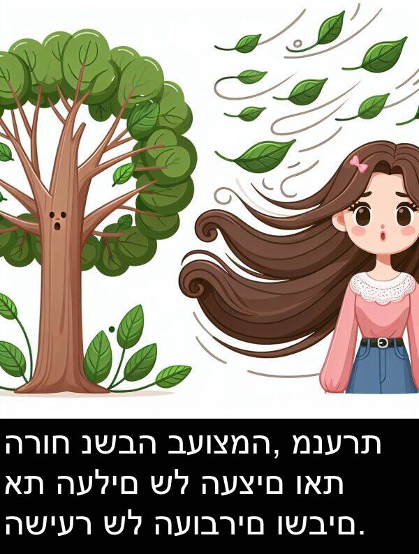 ואת: הרוח נשבה בעוצמה, מנערת את העלים של העצים ואת השיער של העוברים ושבים.