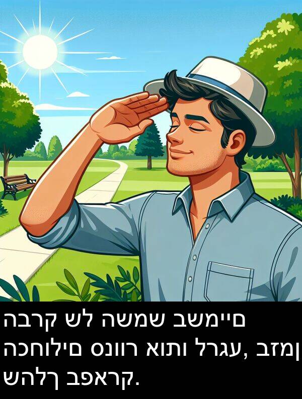 שהלך: הברק של השמש בשמיים הכחולים סנוור אותו לרגע, בזמן שהלך בפארק.