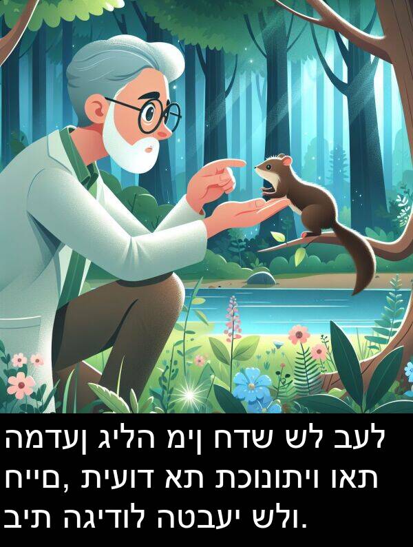 תכונותיו: המדען גילה מין חדש של בעל חיים, תיעוד את תכונותיו ואת בית הגידול הטבעי שלו.