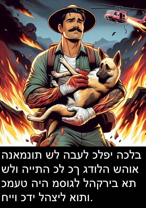 כלפי: הנאמנות של הבעל כלפי הכלב שלו הייתה כל כך גדולה שהוא כמעט היה מסוגל להקריב את חייו כדי להציל אותו.