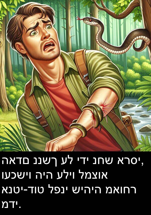 מדי: האדם ננשך על ידי נחש ארסי, ועכשיו היה עליו למצוא אנטי-דוט לפני שיהיה מאוחר מדי.