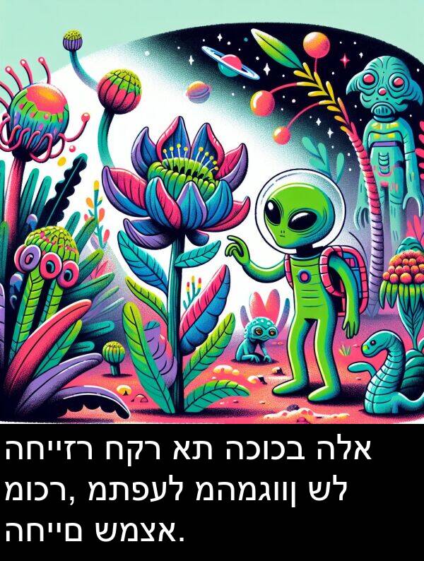 חקר: החייזר חקר את הכוכב הלא מוכר, מתפעל מהמגוון של החיים שמצא.