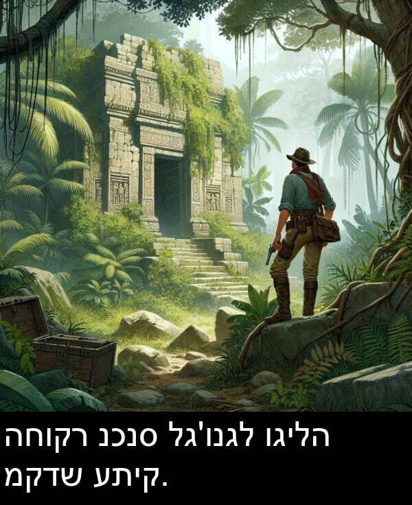 וגילה: החוקר נכנס לג'ונגל וגילה מקדש עתיק.