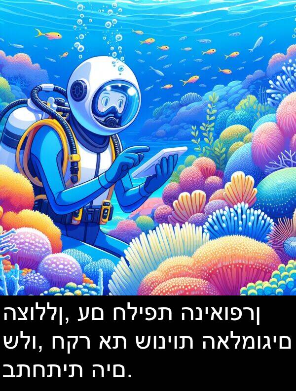 האלמוגים: הצוללן, עם חליפת הניאופרן שלו, חקר את שוניות האלמוגים בתחתית הים.