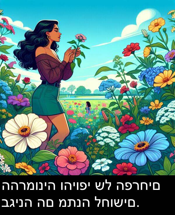 בגינה: ההרמוניה והיופי של הפרחים בגינה הם מתנה לחושים.