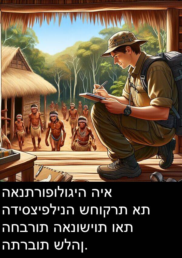 ואת: האנתרופולוגיה היא הדיסציפלינה שחוקרת את החברות האנושיות ואת התרבות שלהן.