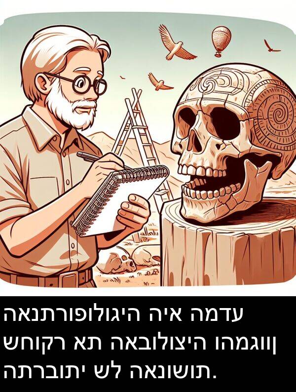 האנושות: האנתרופולוגיה היא המדע שחוקר את האבולוציה והמגוון התרבותי של האנושות.