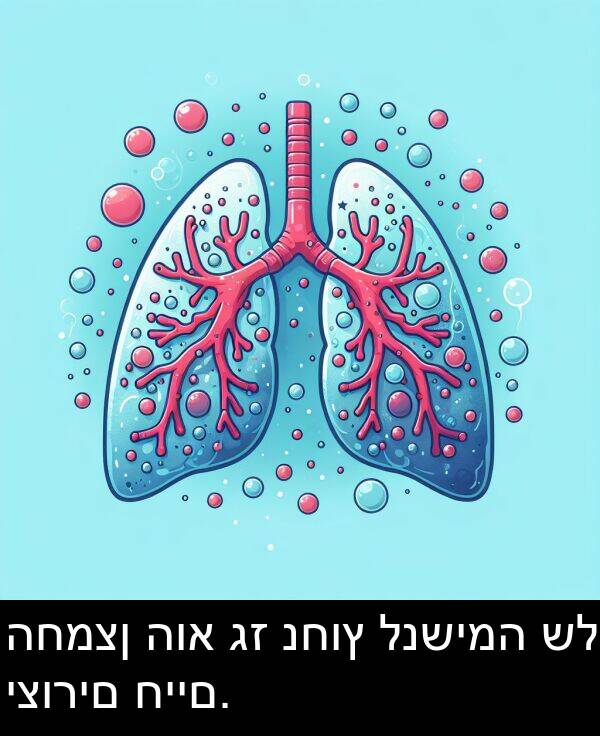 חיים: החמצן הוא גז נחוץ לנשימה של יצורים חיים.