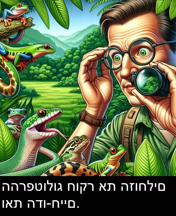 ואת: ההרפטולוג חוקר את הזוחלים ואת הדו-חיים.