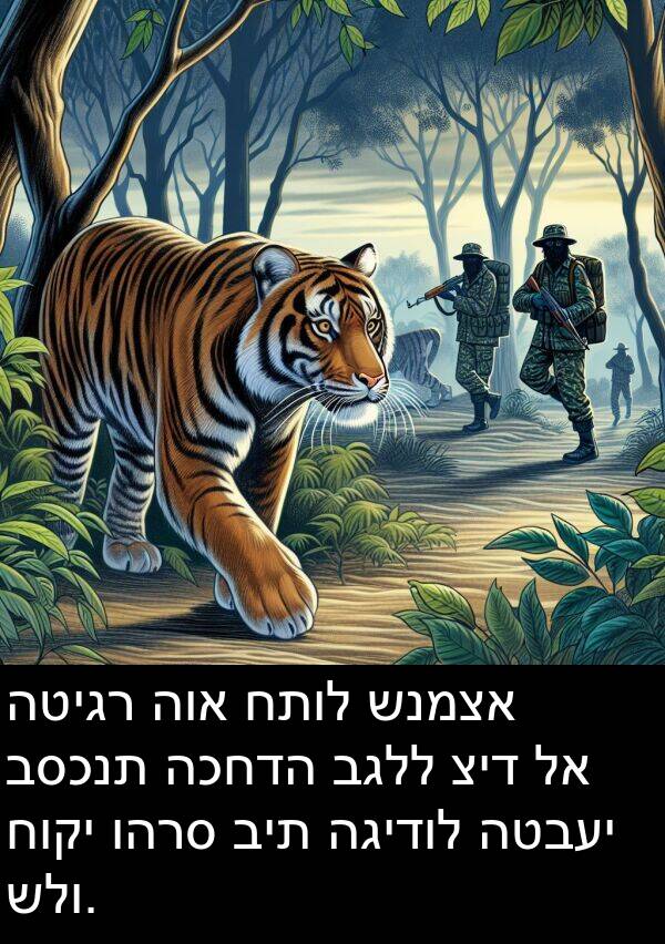 חוקי: הטיגר הוא חתול שנמצא בסכנת הכחדה בגלל ציד לא חוקי והרס בית הגידול הטבעי שלו.