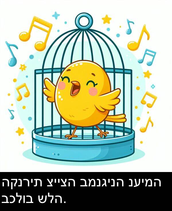 נעימה: הקנרית צייצה במנגינה נעימה בכלוב שלה.