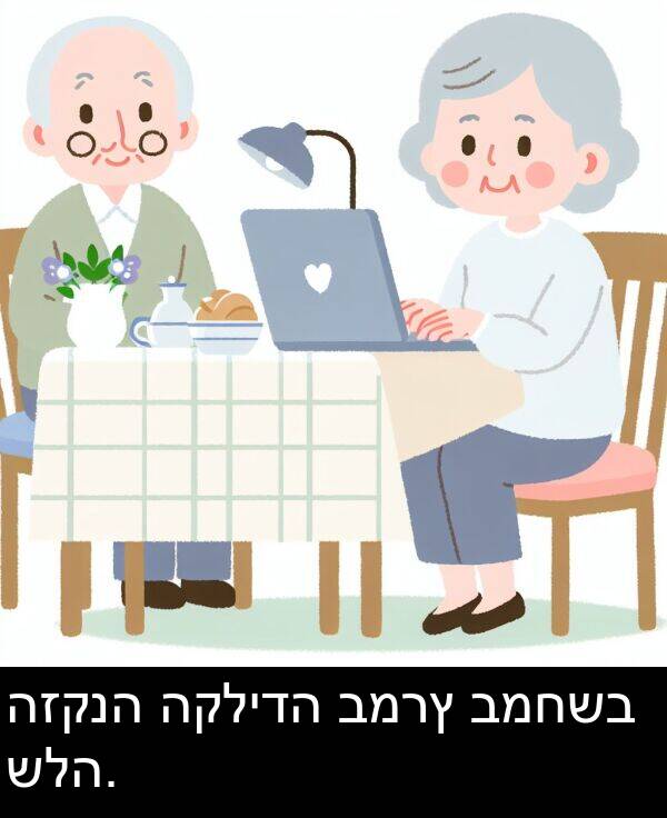 שלה: הזקנה הקלידה במרץ במחשב שלה.