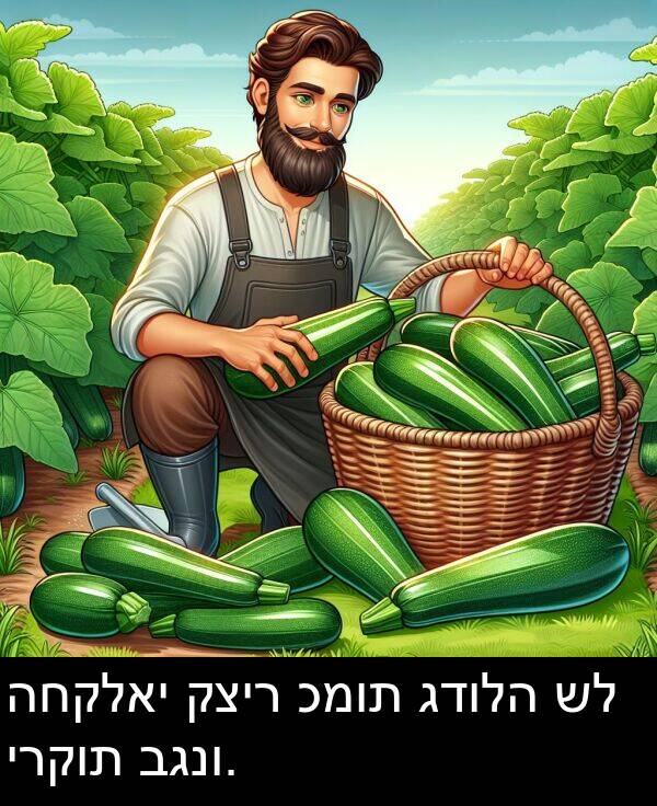 קציר: החקלאי קציר כמות גדולה של ירקות בגנו.