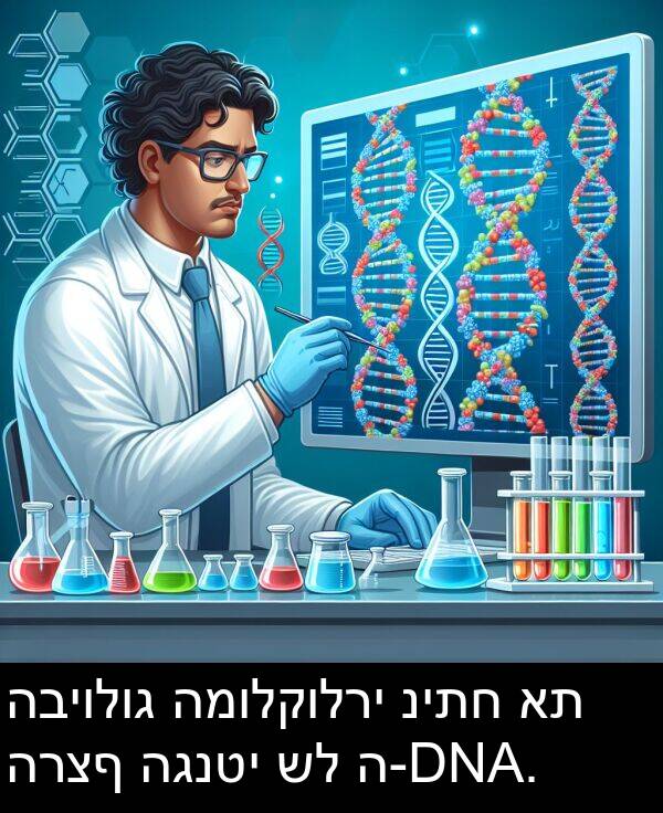 ה: הביולוג המולקולרי ניתח את הרצף הגנטי של ה-DNA.