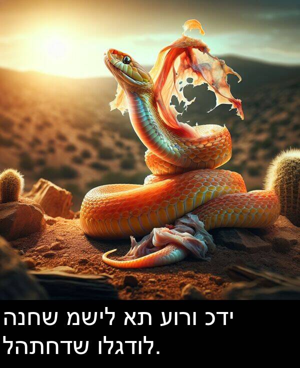 כדי: הנחש משיל את עורו כדי להתחדש ולגדול.