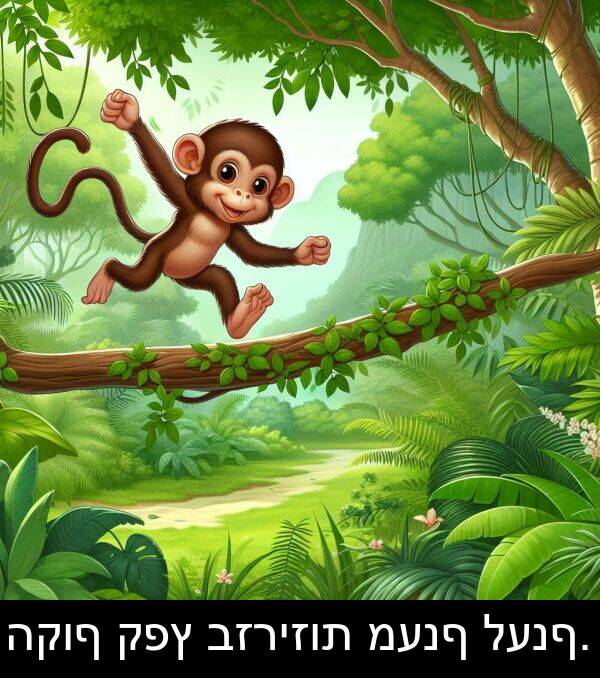 קפץ: הקוף קפץ בזריזות מענף לענף.