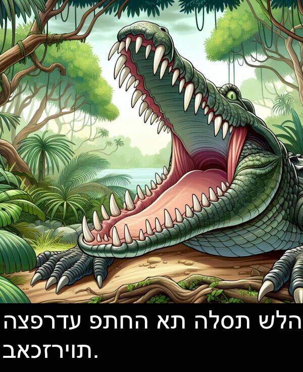 פתחה: הצפרדע פתחה את הלסת שלה באכזריות.