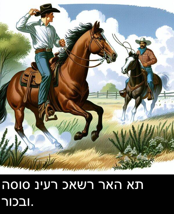 ראה: הסוס ניער כאשר ראה את רוכבו.