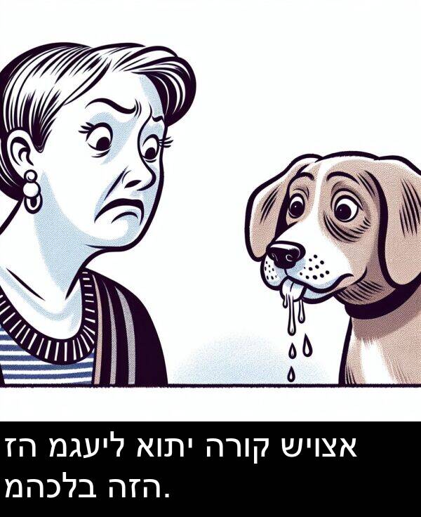 מגעיל: זה מגעיל אותי הרוק שיוצא מהכלב הזה.