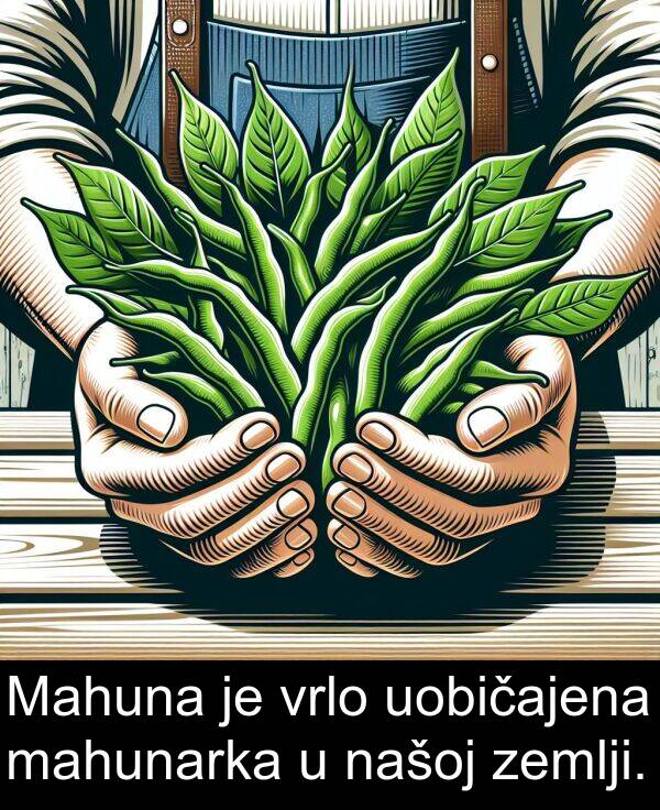 mahunarka: Mahuna je vrlo uobičajena mahunarka u našoj zemlji.