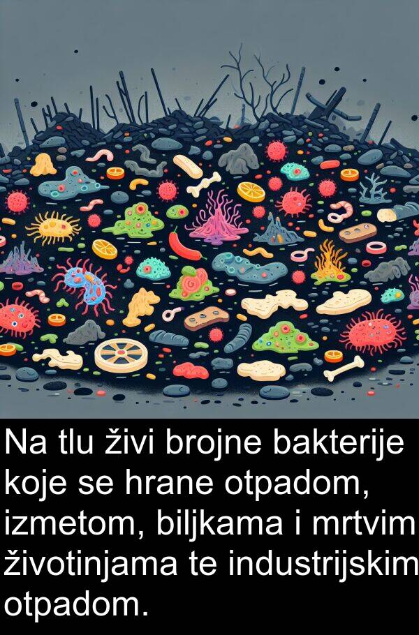 biljkama: Na tlu živi brojne bakterije koje se hrane otpadom, izmetom, biljkama i mrtvim životinjama te industrijskim otpadom.