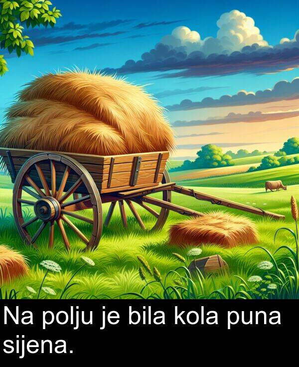 bila: Na polju je bila kola puna sijena.