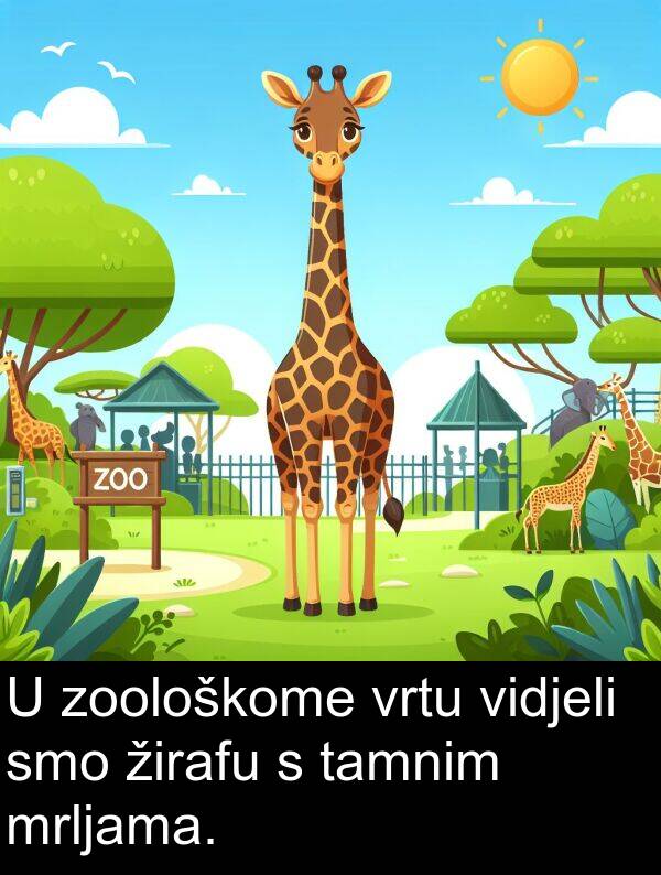 vidjeli: U zoološkome vrtu vidjeli smo žirafu s tamnim mrljama.