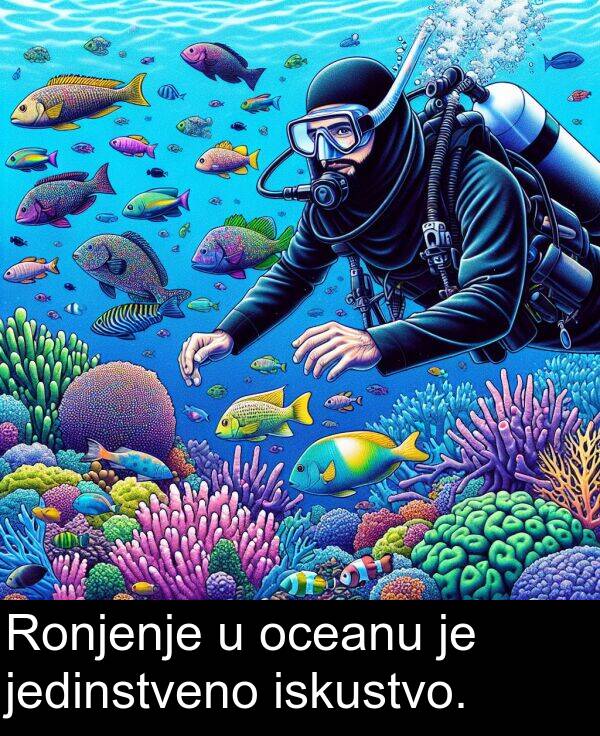 oceanu: Ronjenje u oceanu je jedinstveno iskustvo.