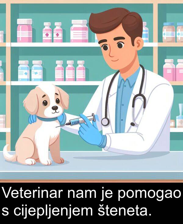 nam: Veterinar nam je pomogao s cijepljenjem šteneta.