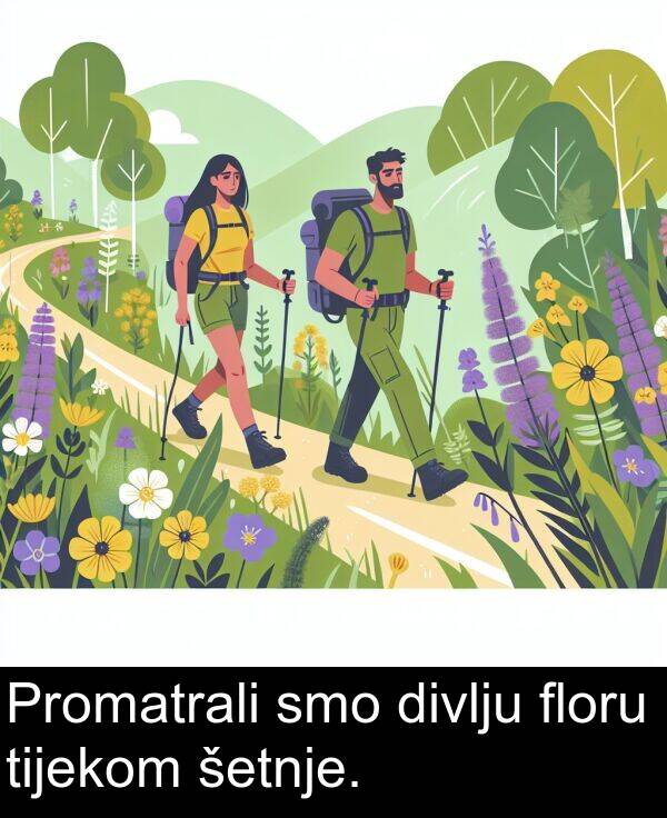 divlju: Promatrali smo divlju floru tijekom šetnje.