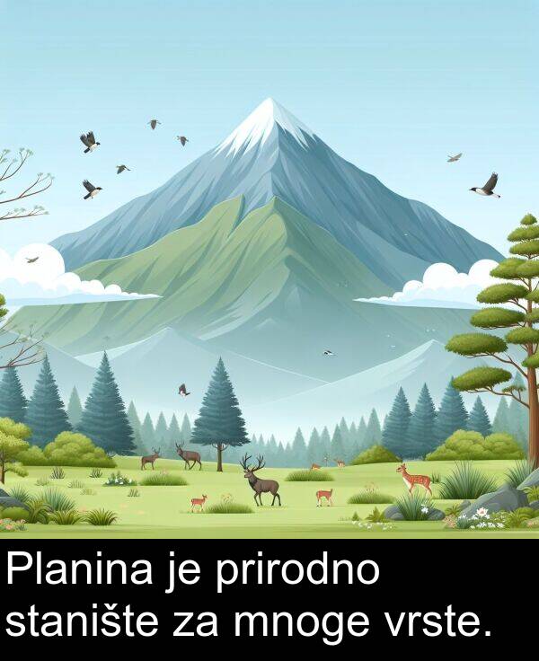 mnoge: Planina je prirodno stanište za mnoge vrste.