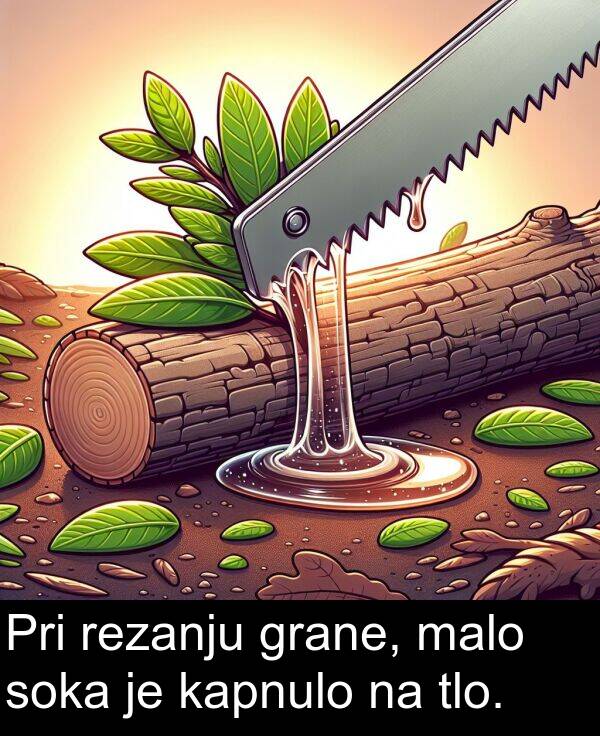 malo: Pri rezanju grane, malo soka je kapnulo na tlo.