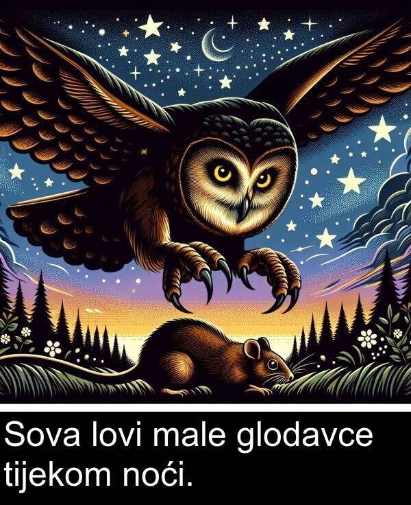 glodavce: Sova lovi male glodavce tijekom noći.