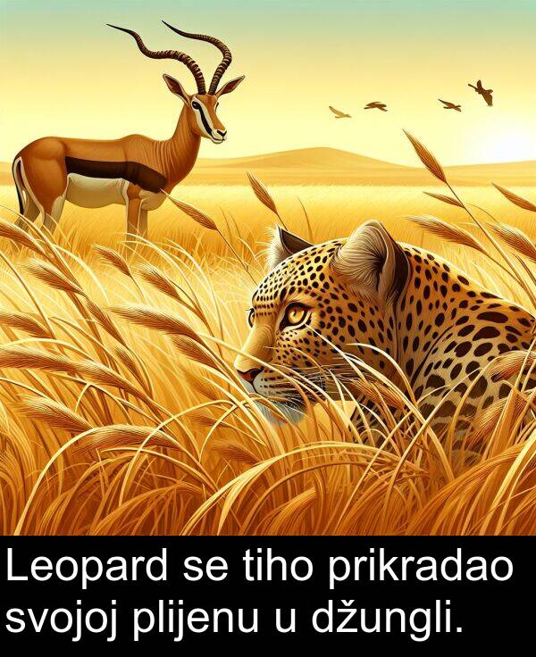 tiho: Leopard se tiho prikradao svojoj plijenu u džungli.