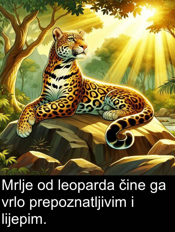 leoparda: Mrlje od leoparda čine ga vrlo prepoznatljivim i lijepim.