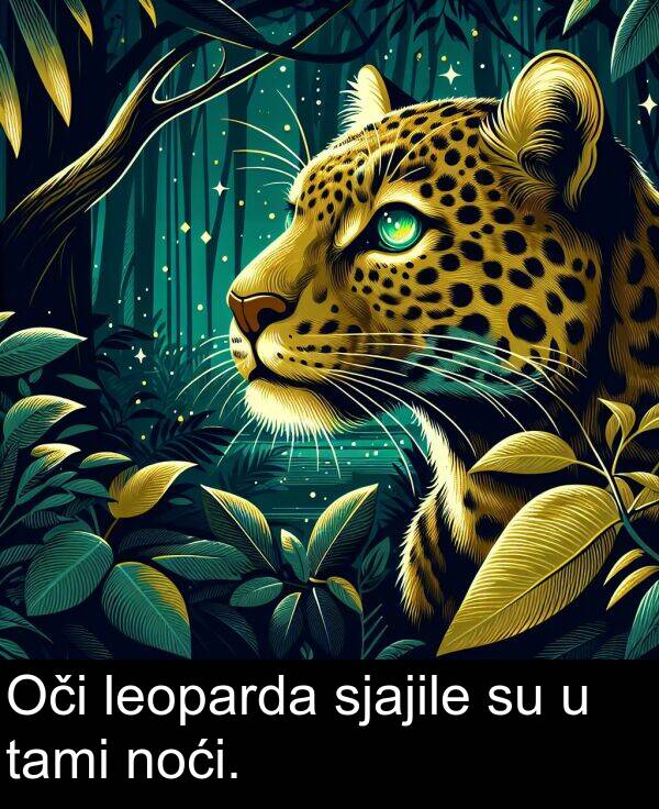 tami: Oči leoparda sjajile su u tami noći.