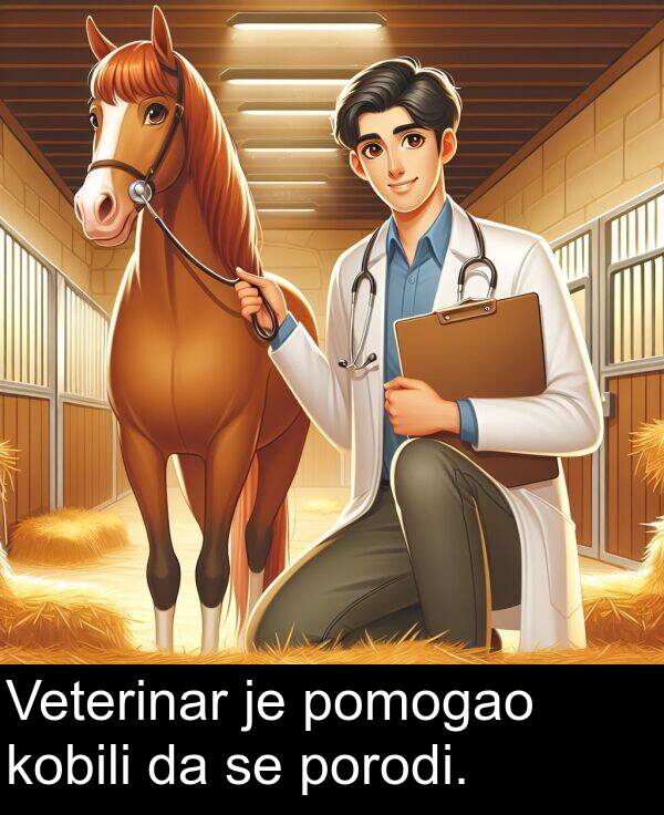 kobili: Veterinar je pomogao kobili da se porodi.