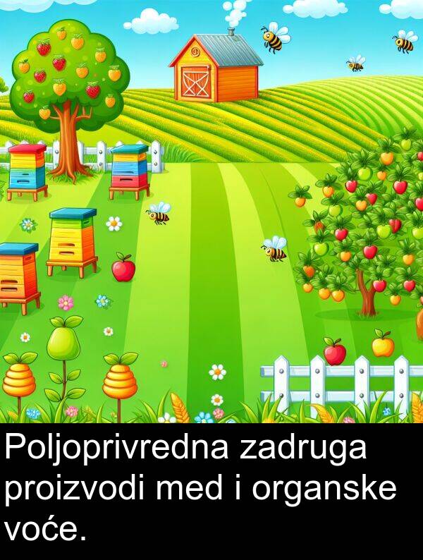 med: Poljoprivredna zadruga proizvodi med i organske voće.