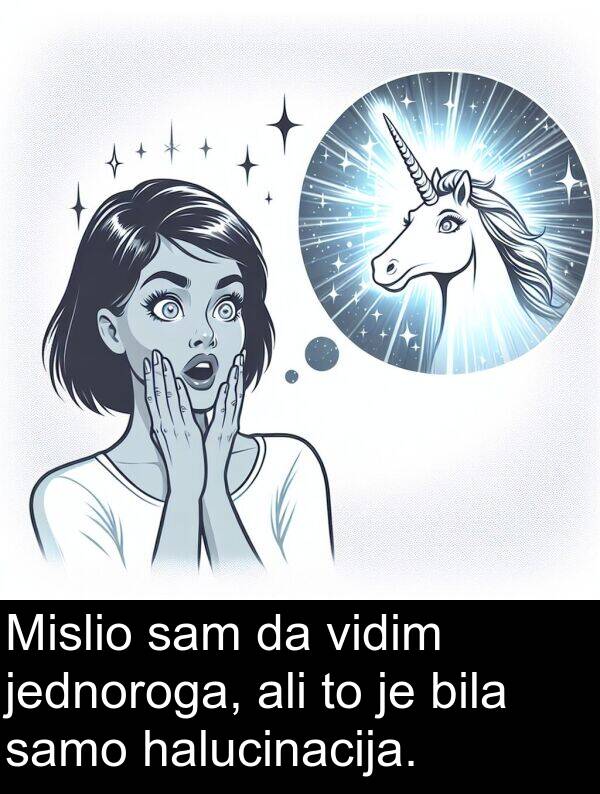 vidim: Mislio sam da vidim jednoroga, ali to je bila samo halucinacija.