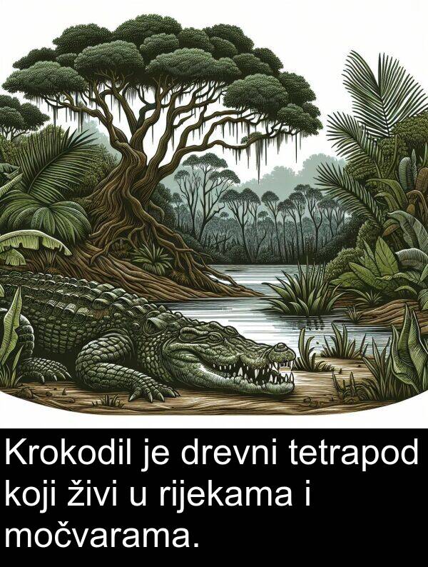 tetrapod: Krokodil je drevni tetrapod koji živi u rijekama i močvarama.