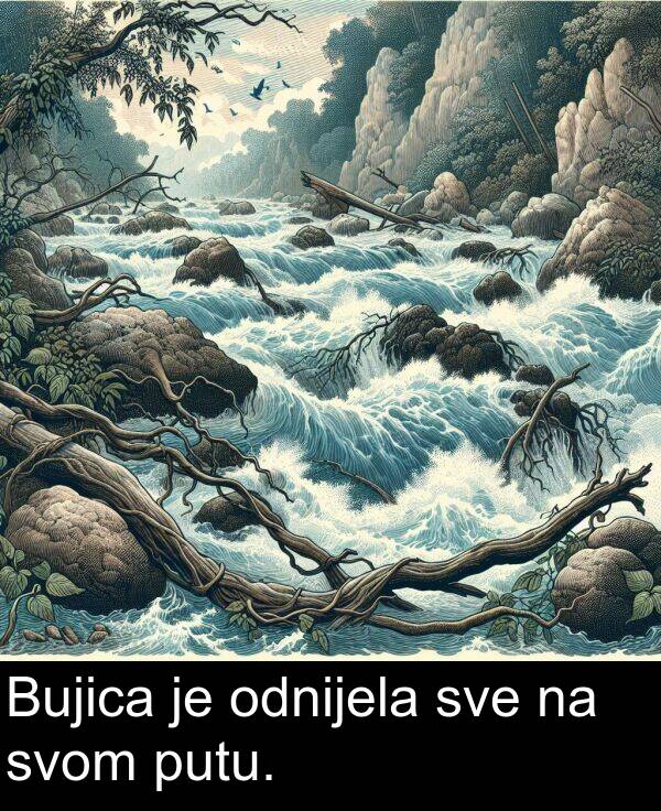 putu: Bujica je odnijela sve na svom putu.