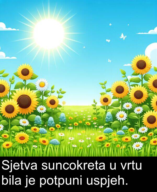 bila: Sjetva suncokreta u vrtu bila je potpuni uspjeh.