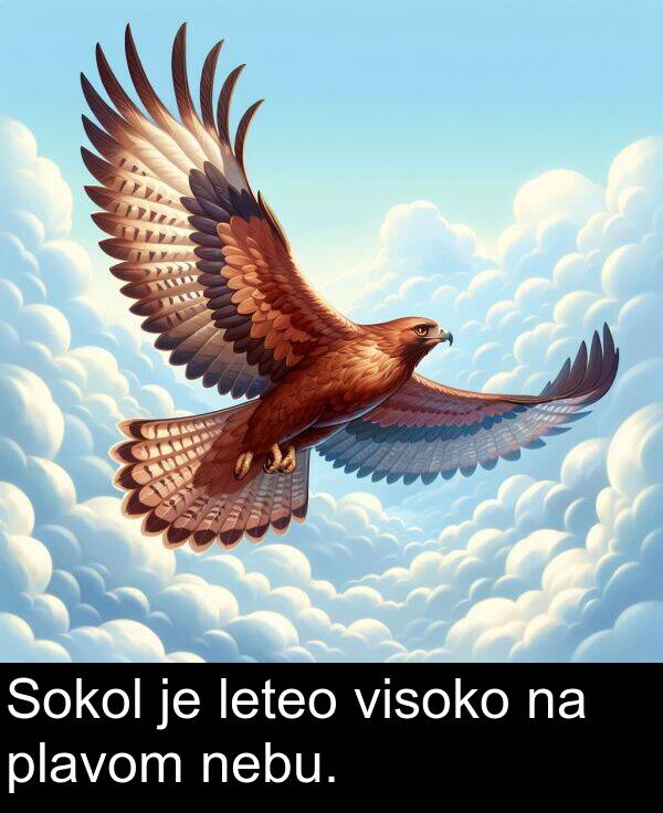 visoko: Sokol je leteo visoko na plavom nebu.