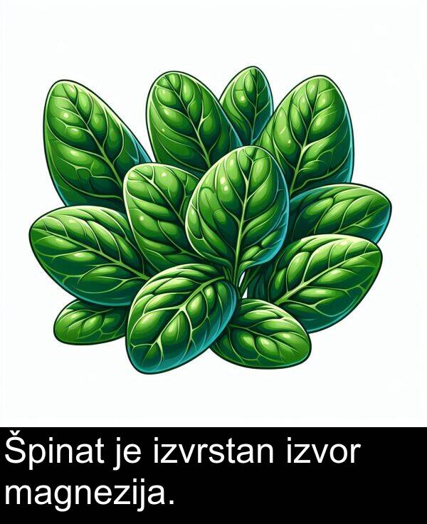 magnezija: Špinat je izvrstan izvor magnezija.